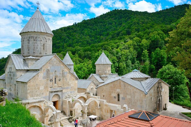 Armenia Day Trip from Tbilisi: Private Experience - What a private driver-guide adds