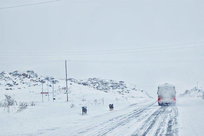 Experience Armenia - Day Trip from Tbilisi - The border crossing is the detail you must handle