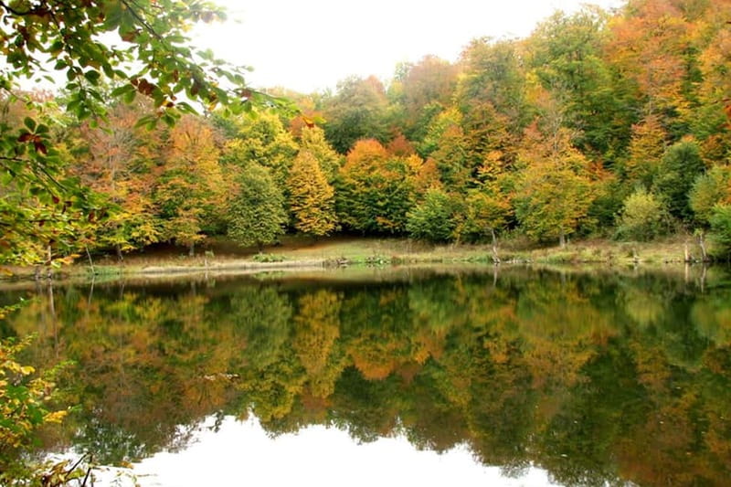 Group Tour: Dilijan, Parz Lake, Makaravank, wine factory - Lunch at a local restaurant