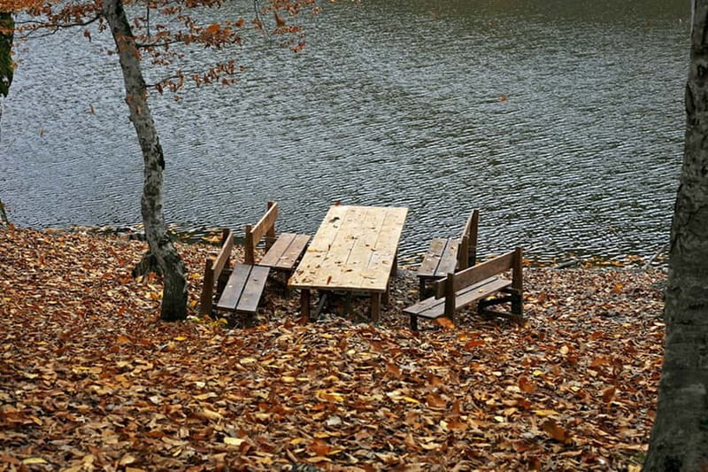 Group Tour: Dilijan, Parz Lake, Makaravank, wine factory - A bakery break before the final tasting