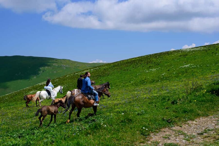 Horseback Adventure in Armenia’s Highland Pastures - Key points to know before you book
