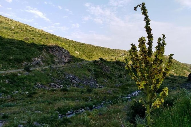 Mount Aragats, Amberd Fortress, Saghmosavank Monastery, Alphabet - private tour - Key points to know before you go