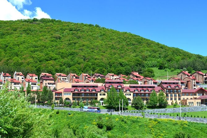 Private tour to Tsaghkadzor city (Ropeway), Lake Sevan, Sevanvank, Dilijan - Dilijan and the old town walk