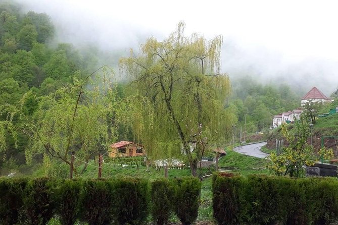 Private Tour: Tsaghkadzor, Sevan lake,Sevanavank, Dilijan, Haghartsin monastery - Timing, meals, weather, and what to bring