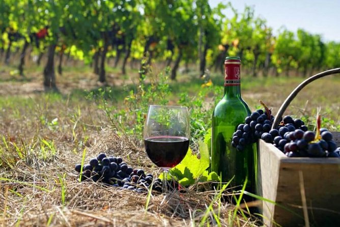 Private wine tour to Khor Virap, Areni winery, Noravank - Key points at a glance