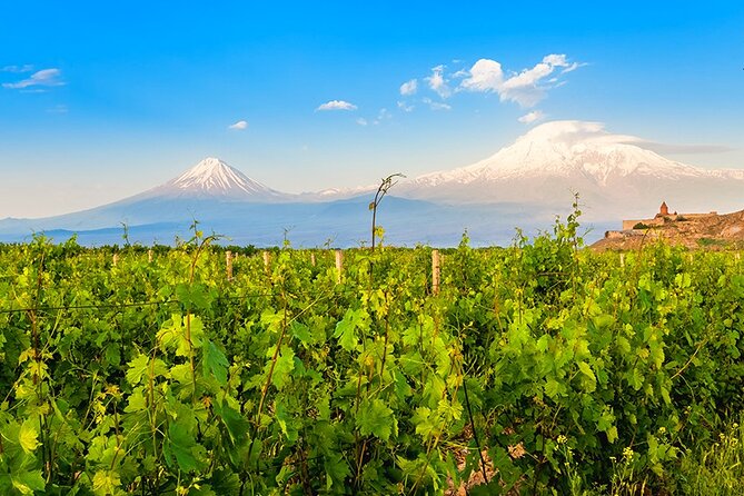 Tatev & Shaki Waterfall Guided Group Tour with Wine Tasting - Areni turns the day toward wine