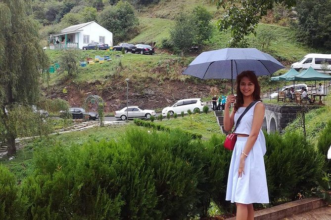 Transfer from Yerevan to Tbilisi with 2 sightseeing stops - Haghartsin Monastery rewards the detour