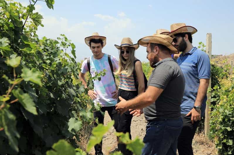 Yerevan: Khor Virap Day Trip with Mount Ararat Wine Tasting - Key points at a glance