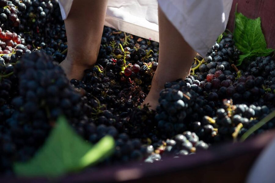 Yerevan: Khor Virap Day Trip with Mount Ararat Wine Tasting - Why Khor Virap and Mount Ararat make such a strong pairing