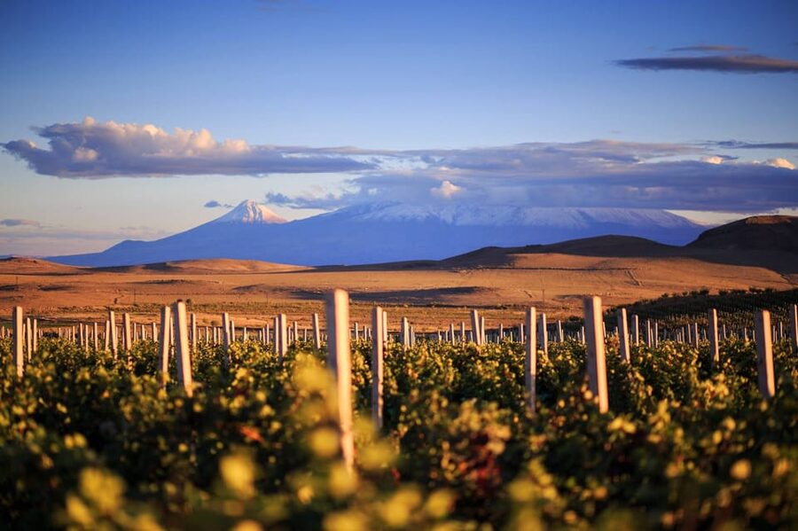 Yerevan: Khor Virap Day Trip with Mount Ararat Wine Tasting - Reaching Khor Virap by private transport